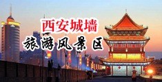 黄色网站日逼中国陕西-西安城墙旅游风景区