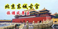 扒开她的黑森林中国北京-东城古宫旅游风景区